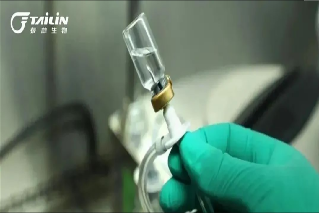 1647855259911900z3e 2121非凡·(中国游)体育官方网站