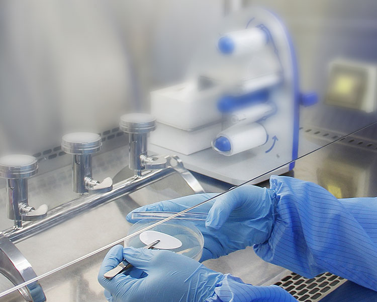 2121非凡·(中国游)体育官方网站