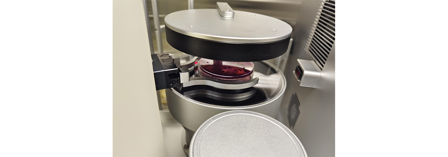 2121非凡·(中国游)体育官方网站